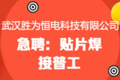 武汉招聘官网,一站式求职服务平台，助力人才梦想起航