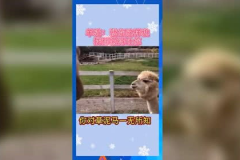 娱乐吃瓜Jerry,Jerry带你揭秘娱乐圈那些事儿