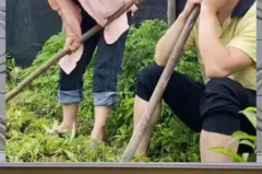 娱乐八卦 吃瓜群众,吃瓜群众揭秘明星幕后故事