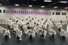 北京舞蹈学院继续教育学院,舞蹈艺术教育的摇篮与传承