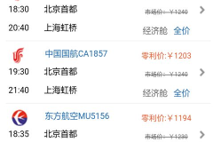 国际航班动态查询,全球航线最新资讯速览